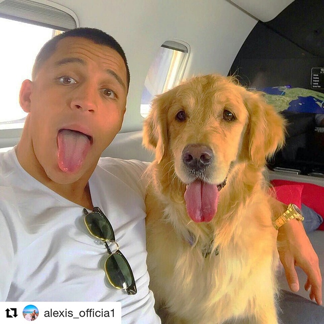 2 chú chó của Alexis Sanchez với lượt theo dõi khủng trên Instagram 2