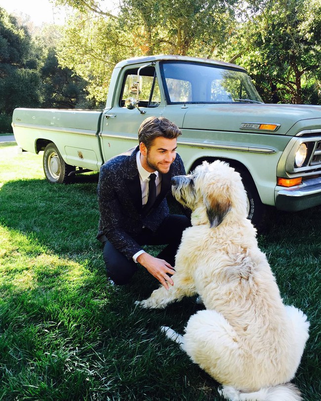 Chuyện tình với bầy cún và những khoảnh khắc Liam có Instagram dễ thương nhất 2016! - Ảnh 2.