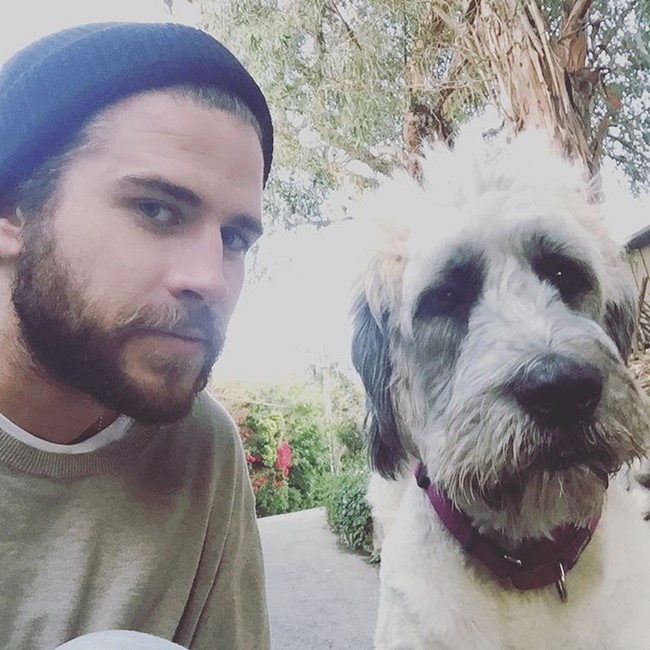 Chuyện tình với bầy cún và những khoảnh khắc Liam có Instagram dễ thương nhất 2016! - Ảnh 5.