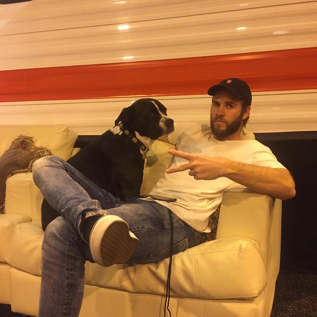 Chuyện tình với bầy cún và những khoảnh khắc Liam có Instagram dễ thương nhất 2016! - Ảnh 6.