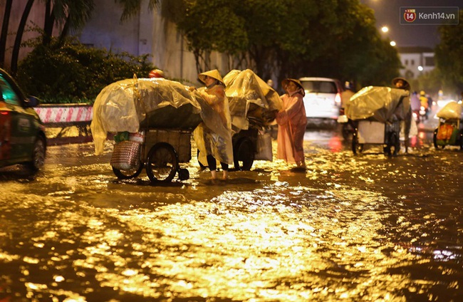 Sài Gòn lại ngập sau trận mưa thứ 3 liên tiếp, cây xanh gãy đổ khắp nơi - Ảnh 12.