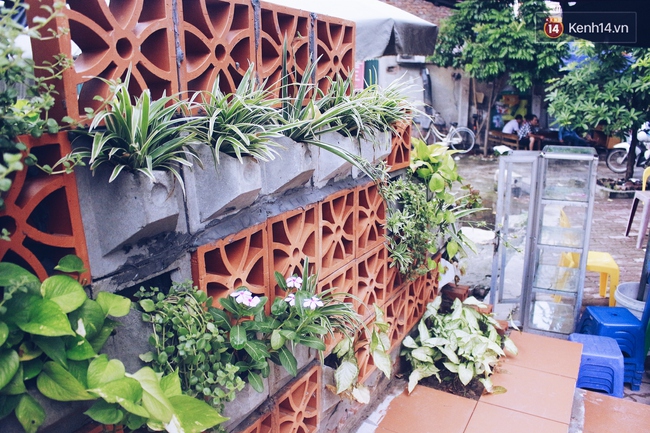 Gặp cậu SV Báo chí - tác giả của 4 vườn hoa mọc lên từ bãi rác ở Hà Nội - Ảnh 5. Gặp cậu SV Báo chí - tác giả của 4 vườn hoa mọc lên từ bãi rác ở Hà Nội - Ảnh 5.