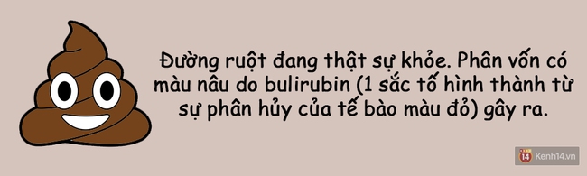 Xem hình dáng chất thải tế nhị biết ngay cơ thể bạn đang như thế nào! - Ảnh 9.