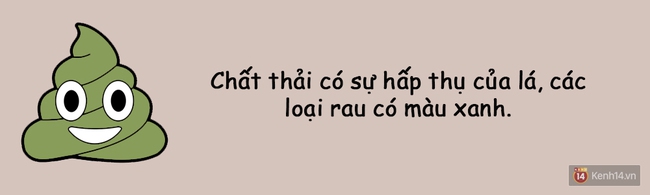 Xem hình dáng chất thải tế nhị biết ngay cơ thể bạn đang như thế nào! - Ảnh 10.