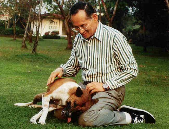 Không chỉ là biểu tượng của đạo đức và trí tuệ, Quốc vương Thái Lan còn nổi tiếng bởi tình yêu dành cho động vật - Ảnh 5.