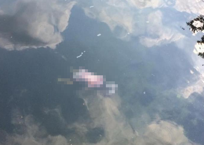 Đi săn Pokemon, chàng trai Singapore bàng hoàng phát hiện xác chết dưới hồ - Ảnh 3.