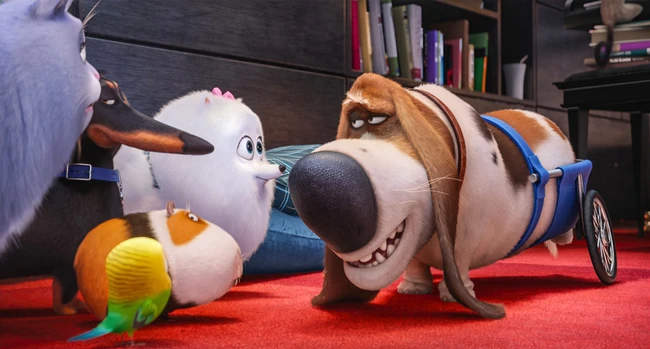 Điểm danh dàn thú cưng đẳng cấp trong The Secret Life Of Pets - Ảnh 11. Điểm danh dàn thú cưng đẳng cấp trong The Secret Life Of Pets - Ảnh 11.
