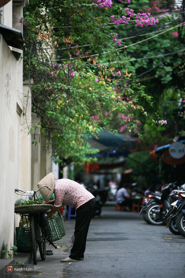 Hà Nội một sáng lạnh, bình yên quá Hà Nội ơi! - Ảnh 2.