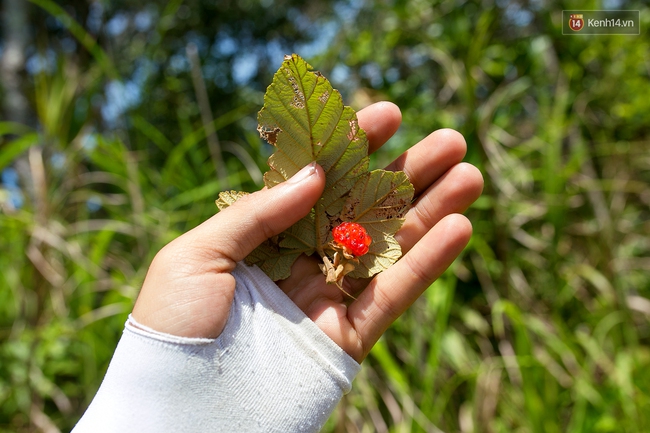 Trekking và cắm trại ở đồi Tà Năng: Đi để thấy mình còn trẻ và còn nhiều nơi phải chinh phục! - Ảnh 27.