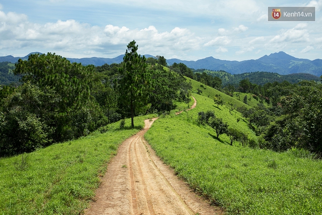 Trekking và cắm trại ở đồi Tà Năng: Đi để thấy mình còn trẻ và còn nhiều nơi phải chinh phục! - Ảnh 17.