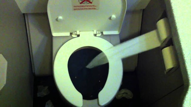 Vứt giấy vào toilet hay sọt rác và đây là cách xử lý ở các quốc gia khác nhau - Ảnh 7.