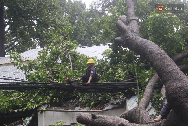 Mưa lớn khiến cổ thụ ở Sài Gòn bật gốc đè 3 căn nhà, cúp điện toàn khu vực - Ảnh 6.