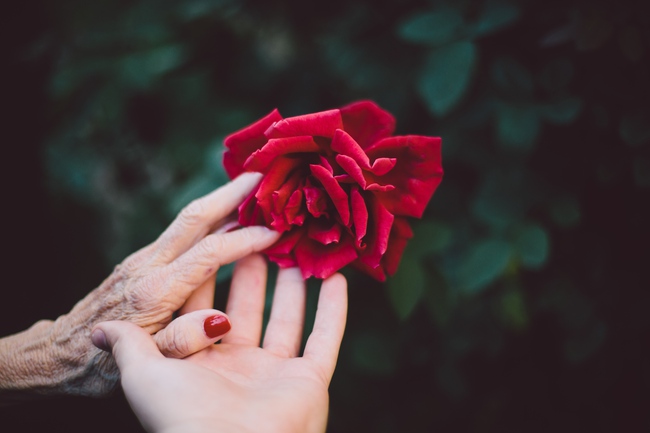 Người đàn ông định gửi điện hoa về cho mẹ, nhưng hành động của một cô bé đã khiến ông phải suy nghĩ lại - Ảnh 1. Người đàn ông định gửi điện hoa về cho mẹ, nhưng hành động của một cô bé đã khiến ông phải suy nghĩ lại - Ảnh 1.