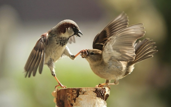 15 bức ảnh sẽ chứng tỏ câu nói điều quan trọng không phải là muộn hay sớm mà là đúng lúc - Ảnh 11.