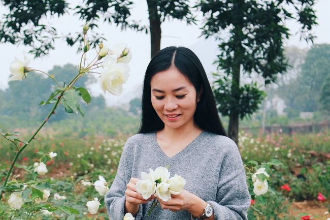 Con đường khởi nghiệp với 20.000 gốc hoa hồng sạch của nữ luật sư Hà Nội - Ảnh 4.
