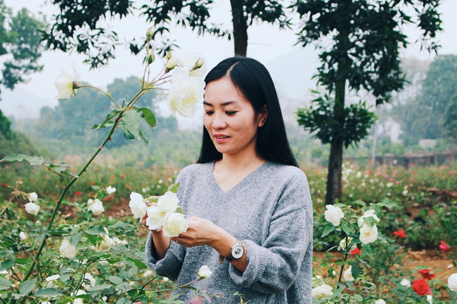 Con đường khởi nghiệp với 20.000 gốc hoa hồng sạch của nữ luật sư Hà Nội - Ảnh 11.