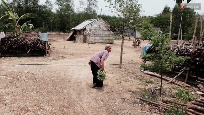 Túp lều lá trên đồi tràm và câu chuyện tình giản dị của hai vợ chồng khuyết tật ở Đồng Nai 7 Túp lều lá trên đồi tràm và câu chuyện tình giản dị của hai vợ chồng khuyết tật ở Đồng Nai 7