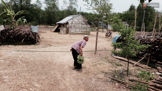 Túp lều lá trên đồi tràm và câu chuyện tình giản dị của hai vợ chồng khuyết tật ở Đồng Nai - Ảnh 7.