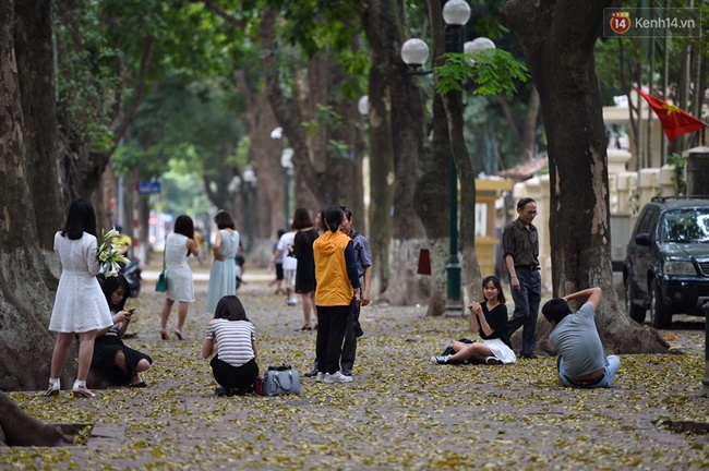 Cuối tuần, chị em áo dài váy hoa kéo nhau đi pose ảnh ở con đường lá vàng Phan Đình Phùng - Ảnh 1. Cuối tuần, chị em áo dài váy hoa kéo nhau đi pose ảnh ở "con đường lá vàng" Phan Đình Phùng