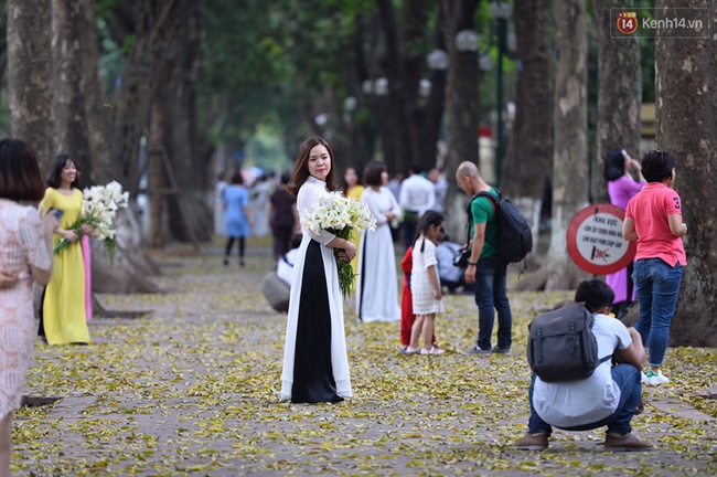 Cuối tuần, chị em áo dài váy hoa kéo nhau đi pose ảnh ở con đường lá vàng Phan Đình Phùng - Ảnh 4. Cuối tuần, chị em áo dài váy hoa kéo nhau đi pose ảnh ở con đường lá vàng Phan Đình Phùng - Ảnh 4.