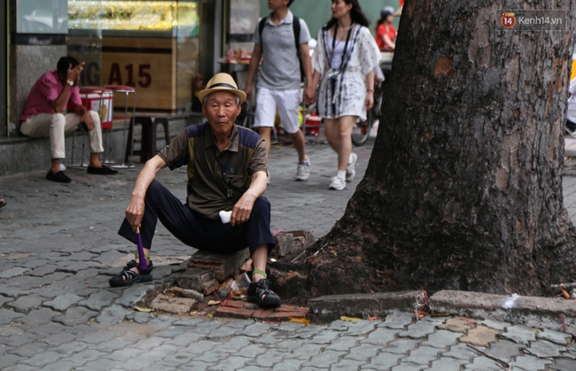 Đốn hạ 28 cây xanh trên đường Lê Lợi: Người Sài Gòn tiếc nuối nhưng chấp nhận vì thành phố hiện đại - Ảnh 5.