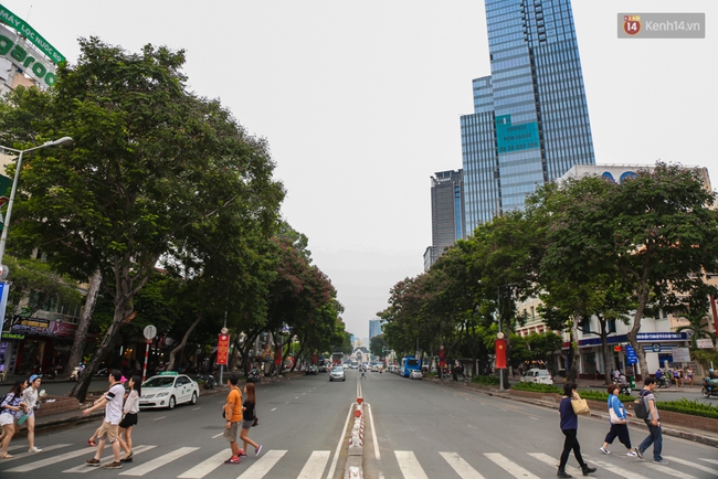 Đốn hạ 28 cây xanh trên đường Lê Lợi: Người Sài Gòn tiếc nuối nhưng chấp nhận vì thành phố hiện đại - Ảnh 1.