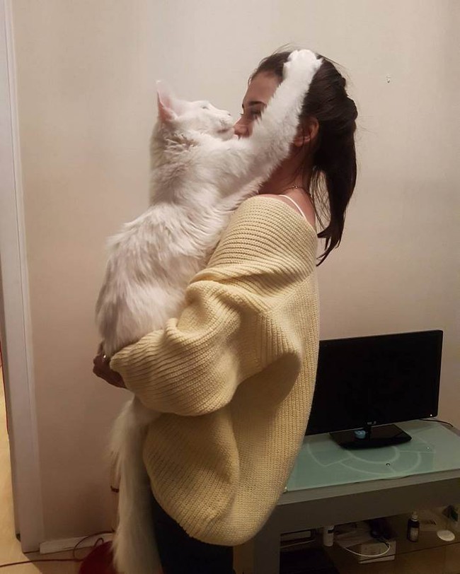 maine-coon-cat-hugs-owner-tihon-26-14935