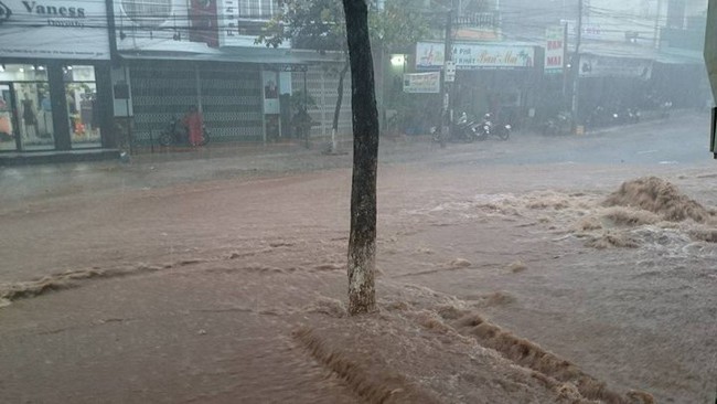 Mưa lớn đầu mùa, ô tô bơi như thuyền trên phố ở Gia Lai - Ảnh 2.