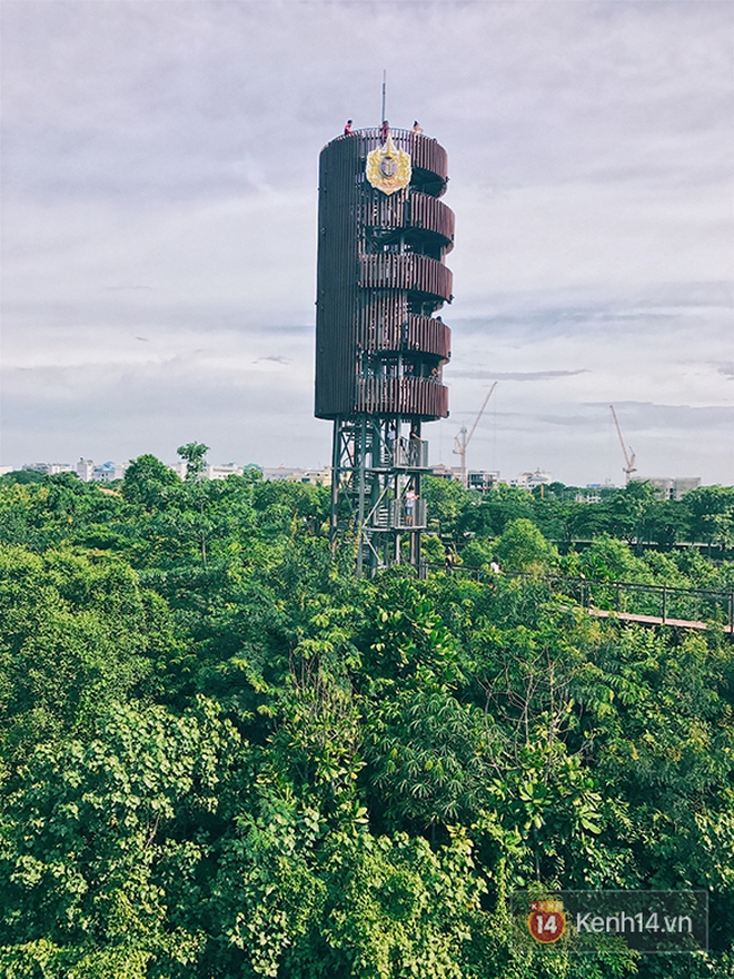 Đến Bangkok, đừng qu&#234;n gh&#233; khu rừng &quot;thần ti&#234;n&quot; được x&#226;y từ... b&#227;i r&#225;c của người Th&#225;i - Ảnh 7.