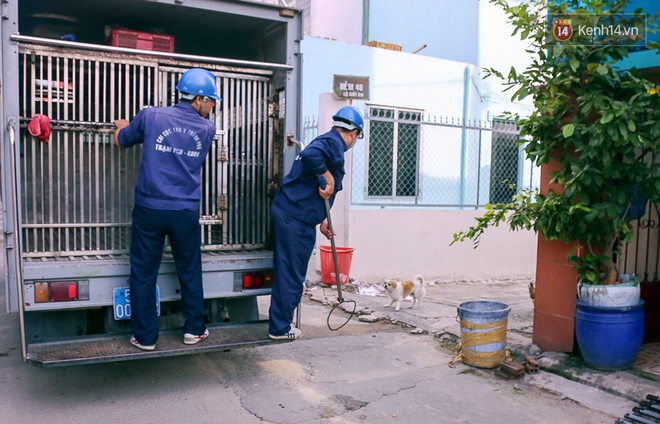 Xuất hiện thông tin bịa đặt "Xe bắt chó giả ở TP HCM" khiến nhiều người hoang mang - Ảnh 6.