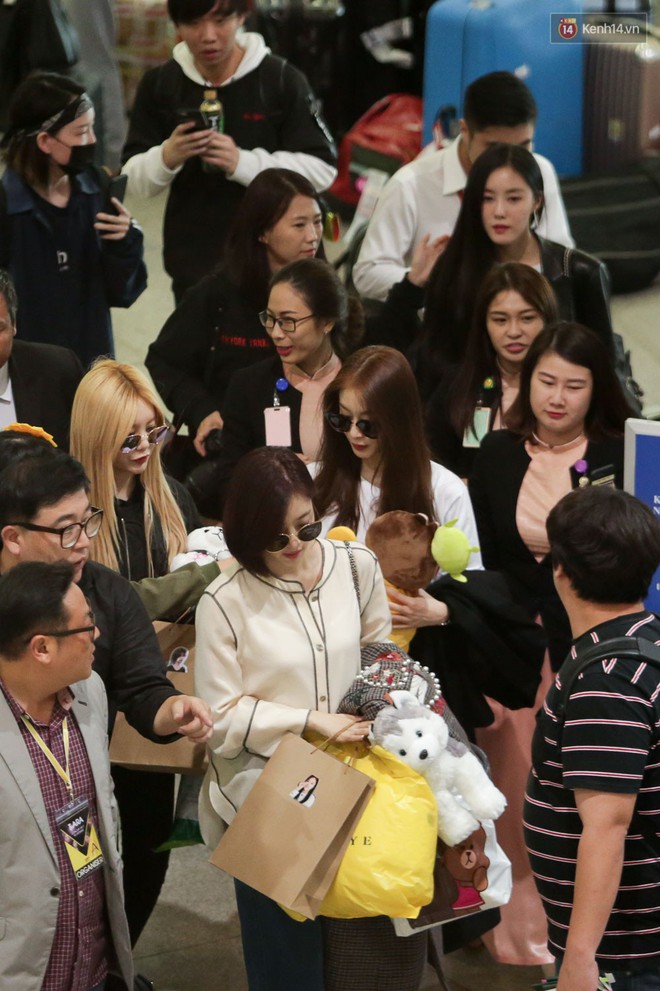 T-ara đẹp xuất sắc trong đám đông fan hỗn loạn tại sân bay Tân Sơn Nhất - Ảnh 10.