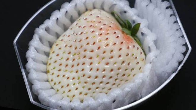Có gì bên trong dâu tây trắng khổng lồ 200.000 đồng/quả độc nhất vô nhị tại Nhật Bản? - Ảnh 4.