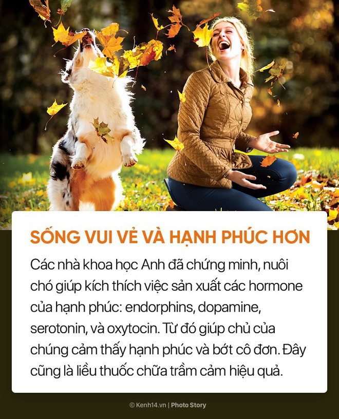 Nuôi cún cưng không chỉ giúp bạn vui vẻ mà còn chống lại rất nhiều bệnh tật - Ảnh 1.