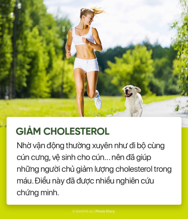 Nuôi cún cưng không chỉ giúp bạn vui vẻ mà còn chống lại rất nhiều bệnh tật - Ảnh 3.