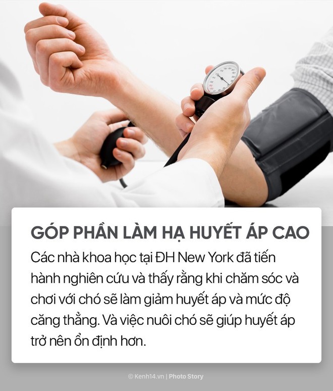 Nuôi cún cưng không chỉ giúp bạn vui vẻ mà còn chống lại rất nhiều bệnh tật - Ảnh 17.