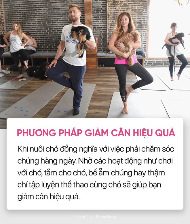 Nuôi cún cưng không chỉ giúp bạn vui vẻ mà còn chống lại rất nhiều bệnh tật - Ảnh 15.