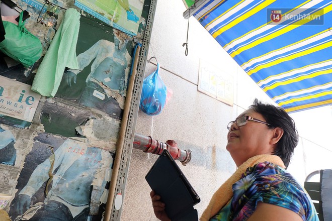 Chuyện cô giúp việc, dì bán vải chung sức cứu giúp hàng nghìn chú mèo suốt 17 năm ở Sài Gòn - Ảnh 6.