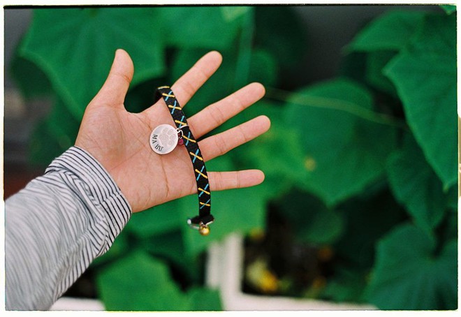 Chú mèo tên Bư nổi tiếng trên MXH bất ngờ qua đời khiến cư dân mạng tiếc nuối - Ảnh 9. Chú mèo tên Bư nổi tiếng trên MXH bất ngờ qua đời khiến cư dân mạng tiếc nuối - Ảnh 9.