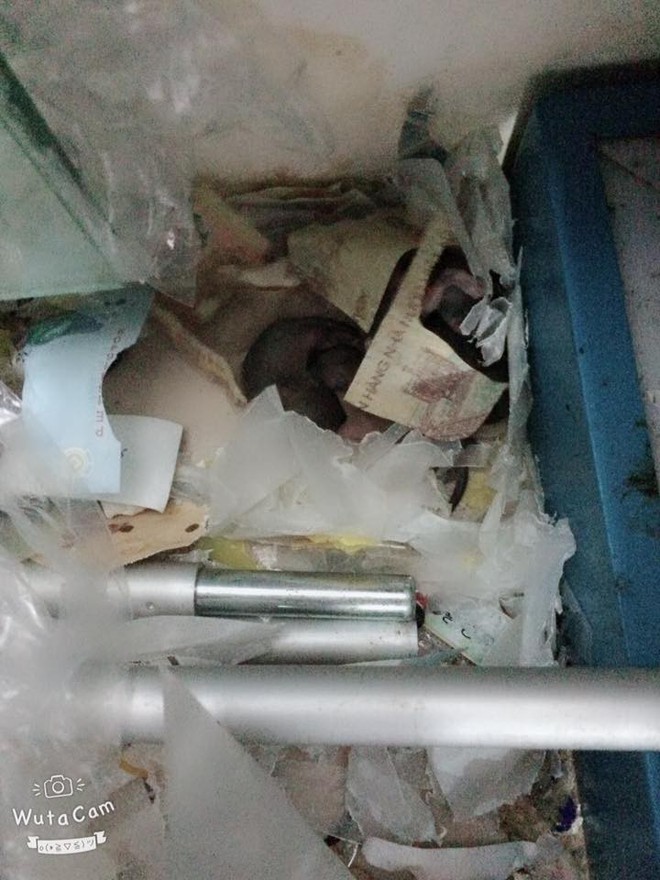 Góc thất thu: Cả cửa hàng lục đục vì liên tục mất tiền, cuối cùng phát hiện ra do chuột tha hết về lót ổ - Ảnh 1. Góc thất thu: Cả cửa hàng lục đục vì liên tục mất tiền, cuối cùng phát hiện ra do chuột tha hết về lót ổ - Ảnh 1.