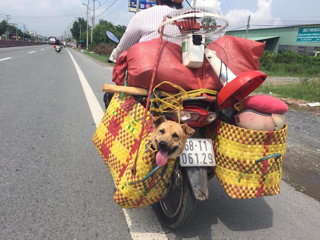 Hình ảnh cảm xúc Sen ở đâu thì nhà boss ở đó được chia sẻ mạnh trên MXH - Ảnh 2.