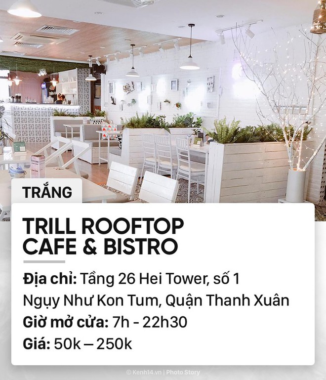 Không thua Sài Gòn, Hà Nội cũng có cả một list quán cà phê đủ sắc hồng vàng xanh trắng... để bạn lựa chọn - Ảnh 13.