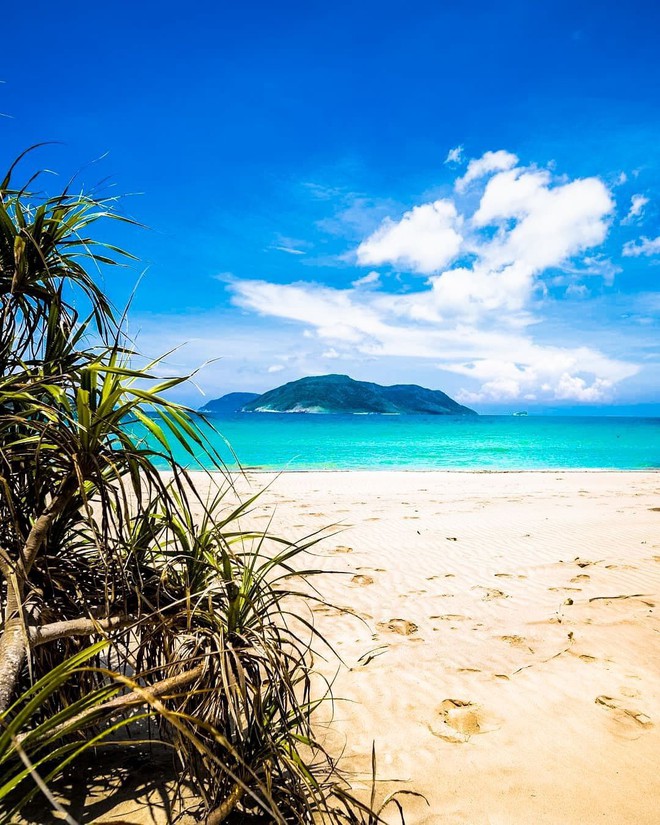 Hòn đảo duy nhất của Việt Nam bất ngờ lọt top những nơi có làn nước trong xanh nhất thế giới, bạn đã đi chưa? - Ảnh 4.