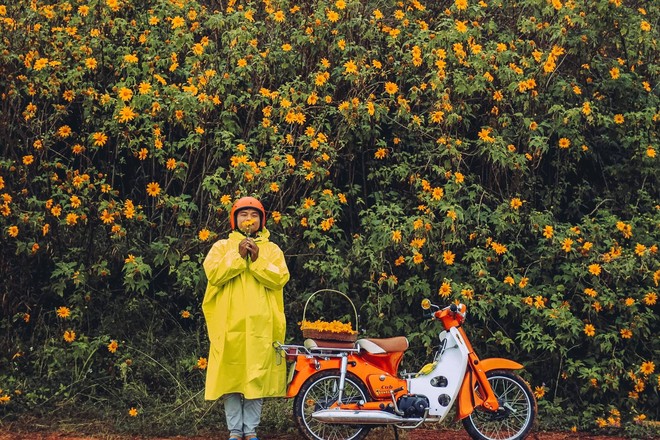 Bất chấp trời mưa, chàng photographer cho ra đời bộ ảnh chụp cùng hoa dã quỳ với concept có 1-0-2 khiến dân tình bấn loạn - Ảnh 7.