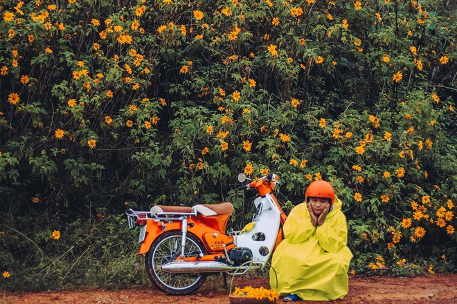 Bất chấp trời mưa, chàng photographer cho ra đời bộ ảnh chụp cùng hoa dã quỳ với concept có 1-0-2 khiến dân tình bấn loạn - Ảnh 2.