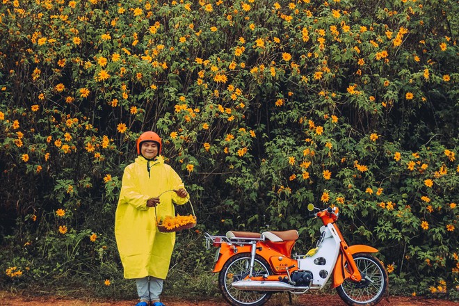 Bất chấp trời mưa, chàng photographer cho ra đời bộ ảnh chụp cùng hoa dã quỳ với concept có 1-0-2 khiến dân tình bấn loạn - Ảnh 4.