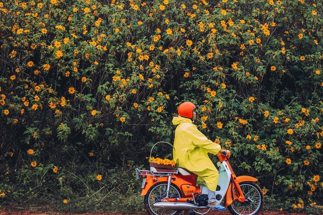 Bất chấp trời mưa, chàng photographer cho ra đời bộ ảnh chụp cùng hoa dã quỳ với concept có 1-0-2 khiến dân tình bấn loạn - Ảnh 6.