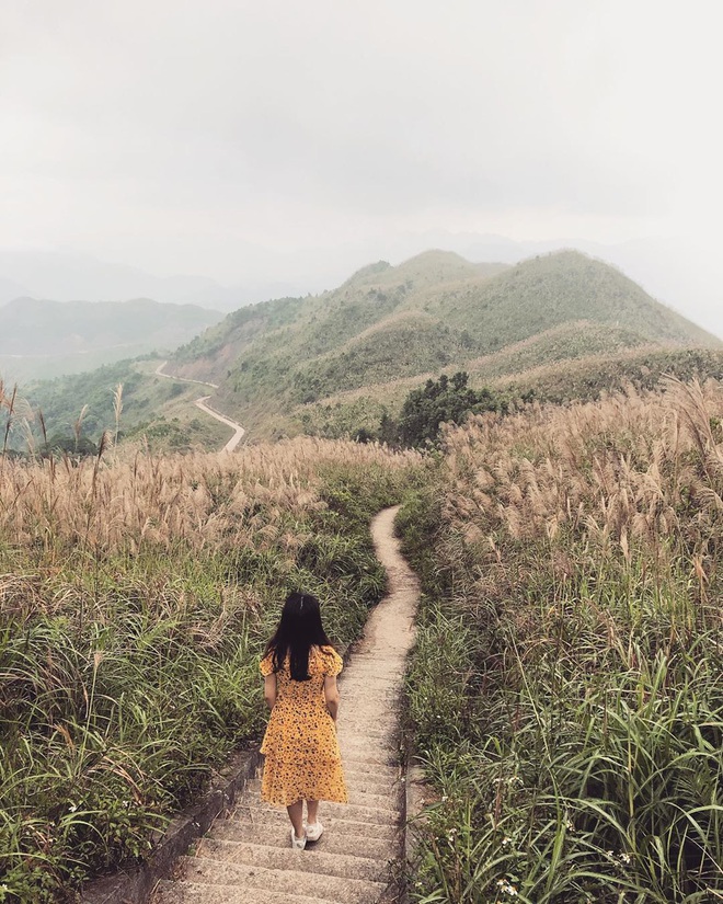 “Sống lưng khủng long” Bình Liêu đang vào mùa cỏ lau đẹp như một giấc mơ, xem ảnh chỉ biết ôm mộng được đến 1 lần! - Ảnh 15.