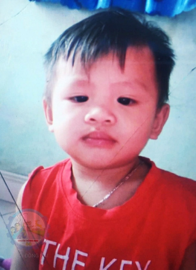 Gia đình xin cộng đồng chia sẻ, tìm giúp bé trai 16 tháng tuổi đột nhiên mất tích khi đang chơi trước nhà ở Biên Hòa - Ảnh 1.