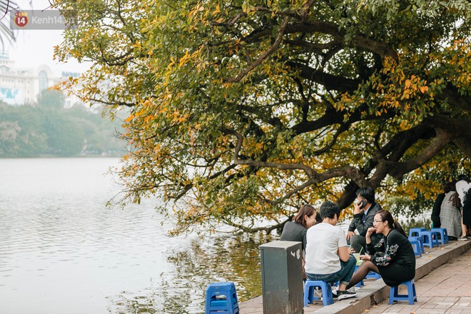 Hà Nội đẹp đến nao lòng mùa cây thay lá, màu vàng nên thơ phủ khắp phố phường - Ảnh 8.