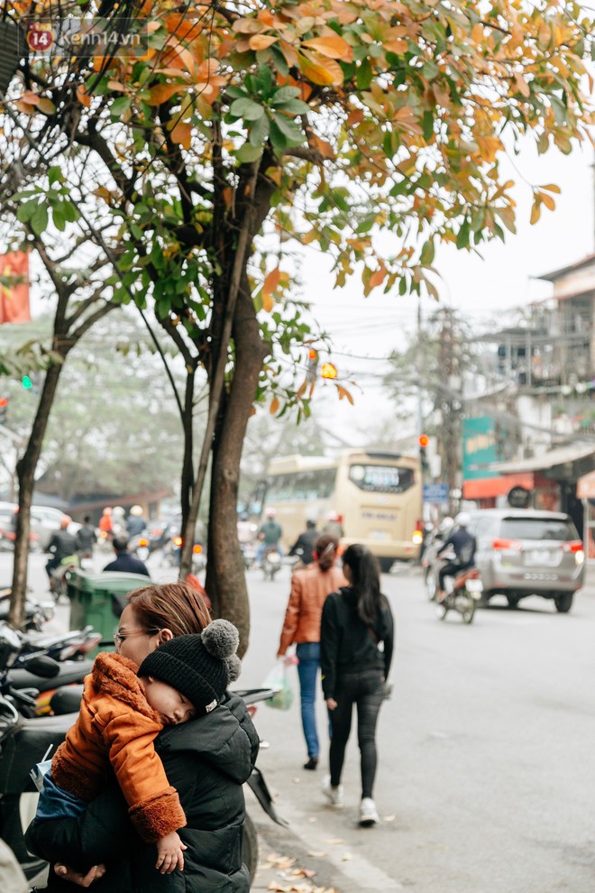 Hà Nội đẹp đến nao lòng mùa cây thay lá, màu vàng nên thơ phủ khắp phố phường - Ảnh 14.